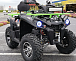 Квадроцикл PROMAX RENEGADE 280 WINCH PRO (2025) в Орле