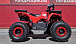 Квадроцикл PROMAX WILD 175 BASIC в Орле