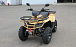 КВАДРОЦИКЛ IRBIS ATV 250 Premium  в Орле