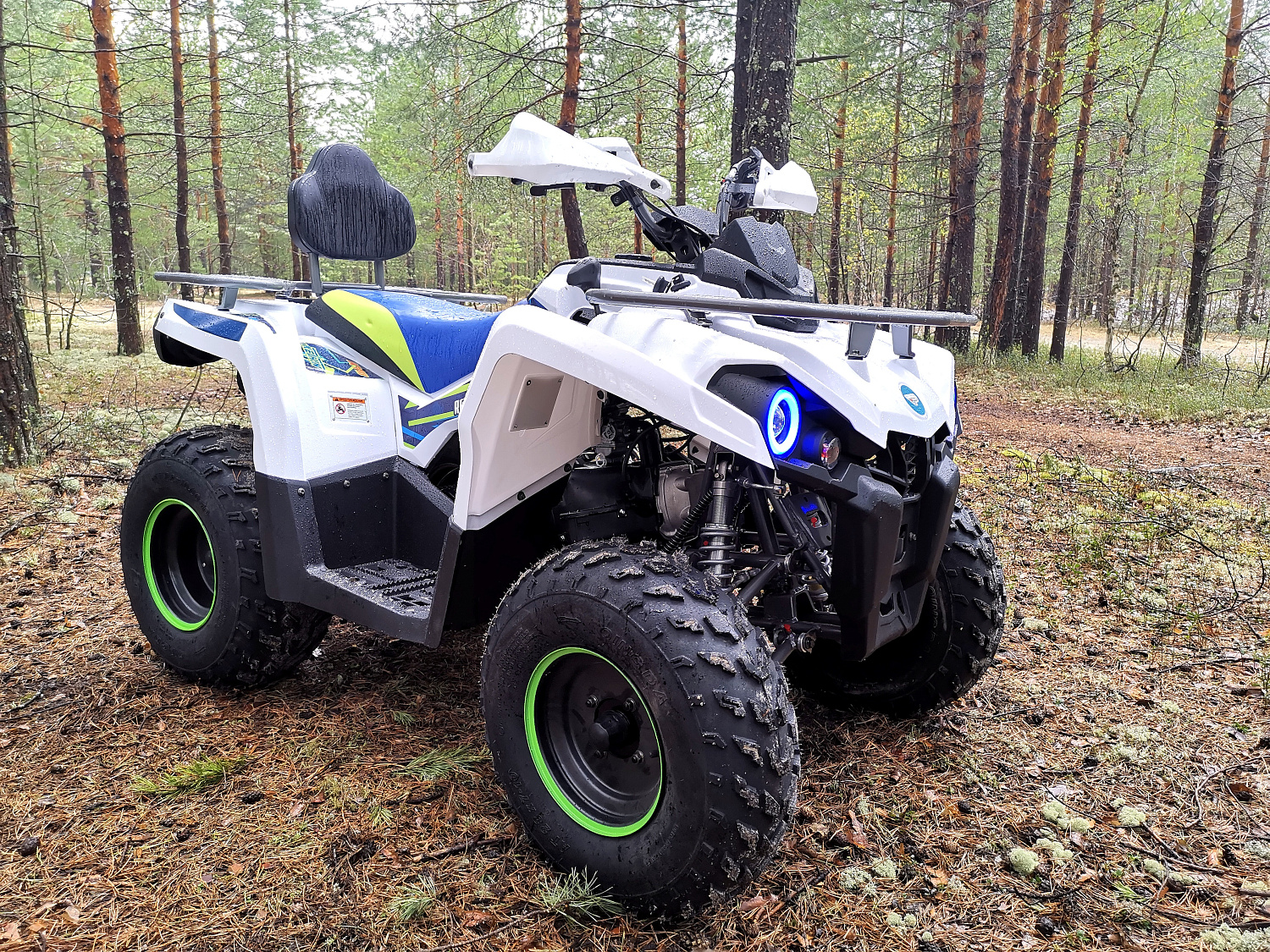 Квадроцикл PROMAX RENEGADE 280 (2025) в Орле