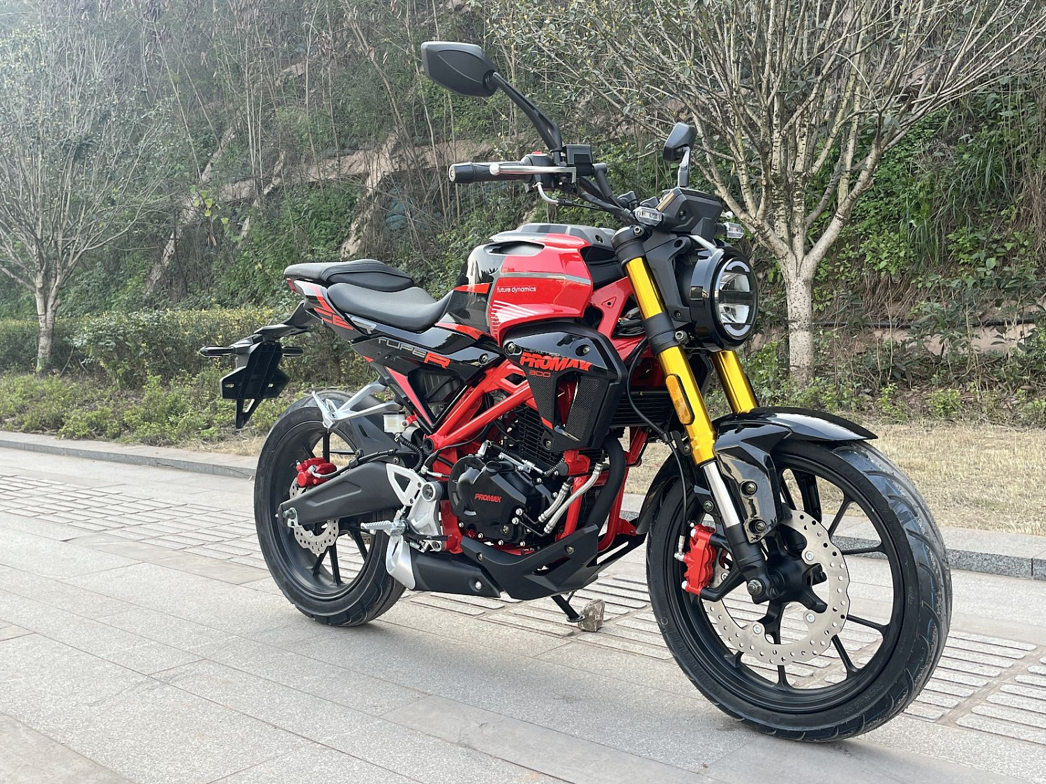 Мотоцикл PROMAX CB300 в Орле