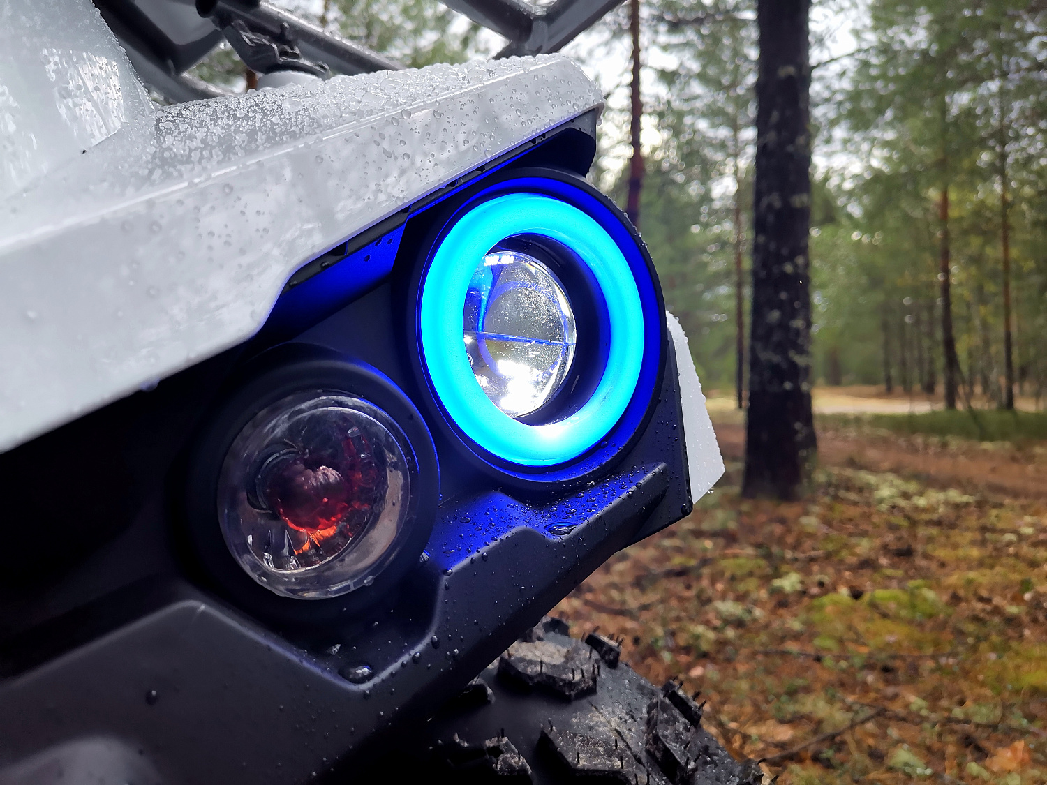 Квадроцикл PROMAX RENEGADE 280 (2025) в Орле