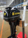 Лодочный мотор STELS 9.9HP в Орле