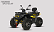 Квадроцикл PROMAX TAURUS 300 MAX-PRO LONG в Орле